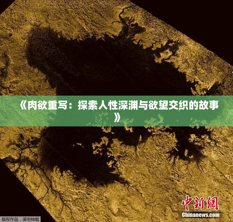 《肉欲重写：探索人性深渊与欲望交织的故事》