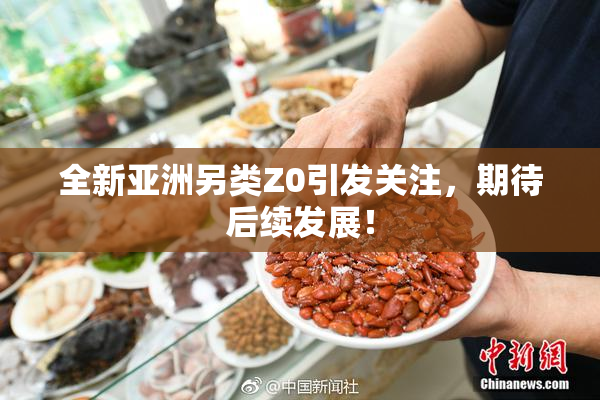 全新亚洲另类Z0引发关注，期待后续发展！
