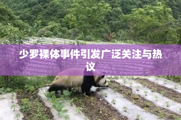 少罗裸体事件引发广泛关注与热议