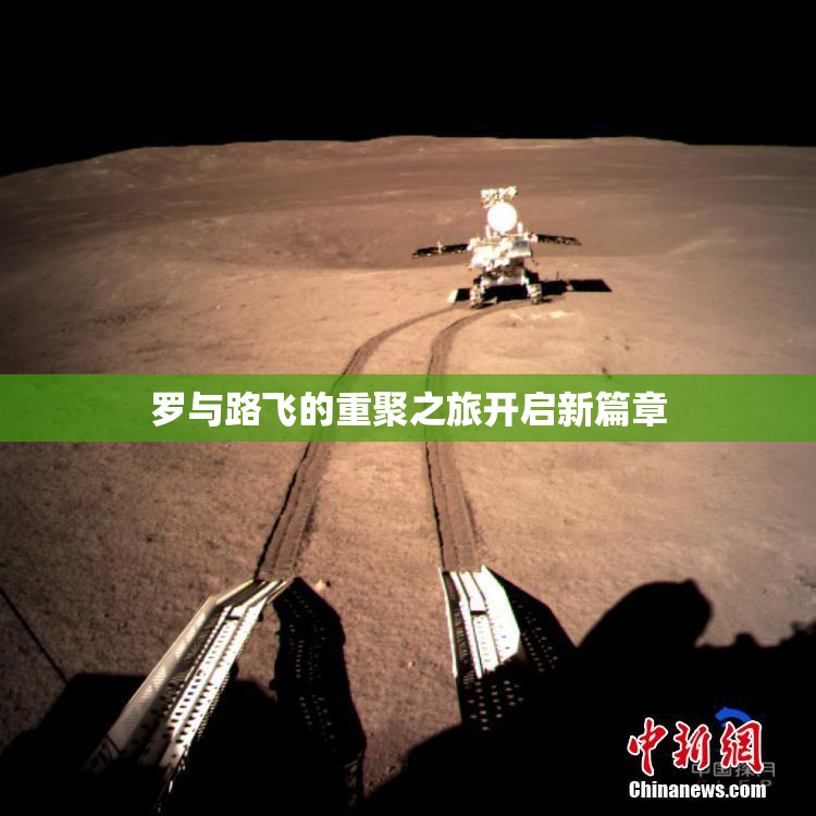 罗与路飞的重聚之旅开启新篇章
