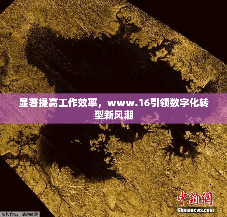 显著提高工作效率，www.16引领数字化转型新风潮