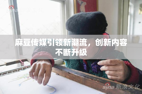 麻豆传媒引领新潮流，创新内容不断升级