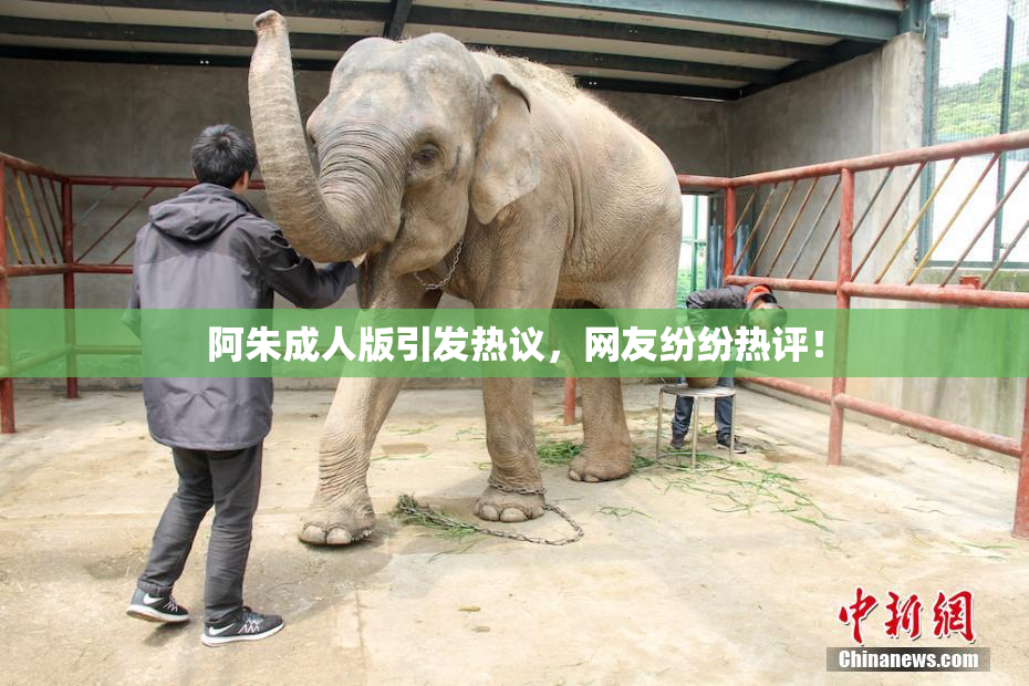 阿朱成人版引发热议，网友纷纷热评！