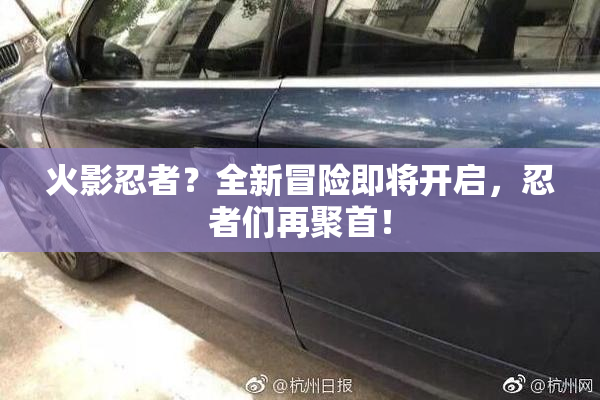 火影忍者？全新冒险即将开启，忍者们再聚首！
