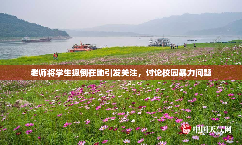 老师将学生摁倒在地引发关注，讨论校园暴力问题