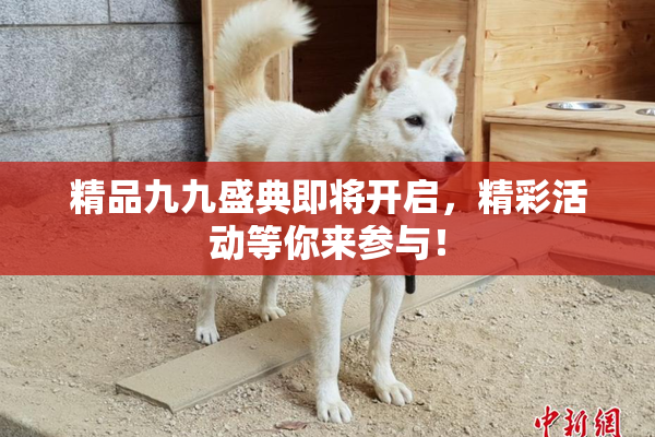 精品九九盛典即将开启，精彩活动等你来参与！