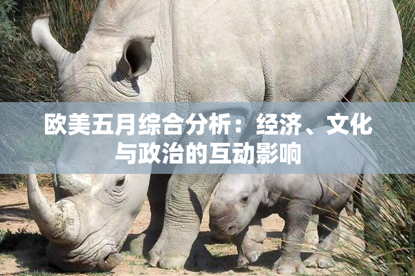 欧美五月综合分析：经济、文化与政治的互动影响