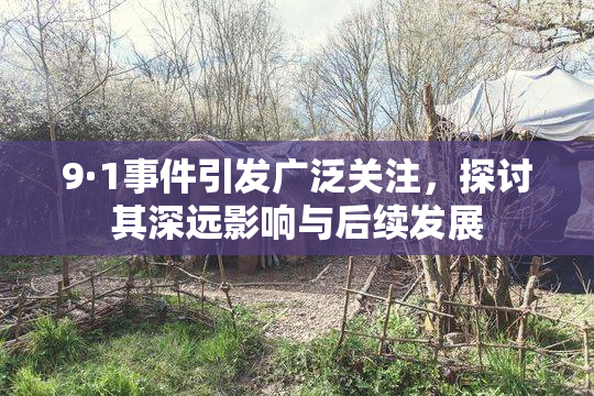 9·1事件引发广泛关注，探讨其深远影响与后续发展