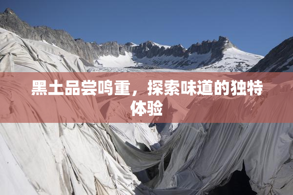 黑土品尝鸣重，探索味道的独特体验