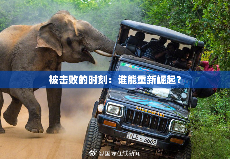 被击败的时刻：谁能重新崛起？