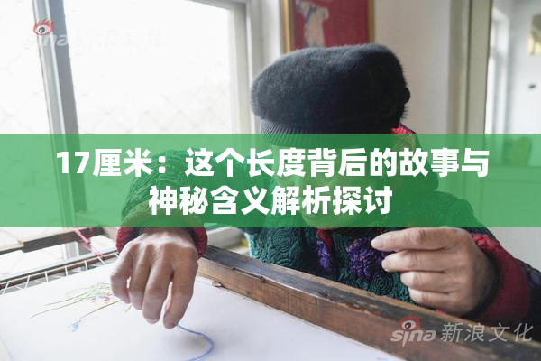 17厘米：这个长度背后的故事与神秘含义解析探讨