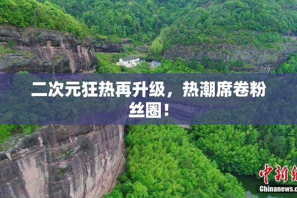 二次元狂热再升级，热潮席卷粉丝圈！