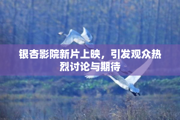银杏影院新片上映，引发观众热烈讨论与期待