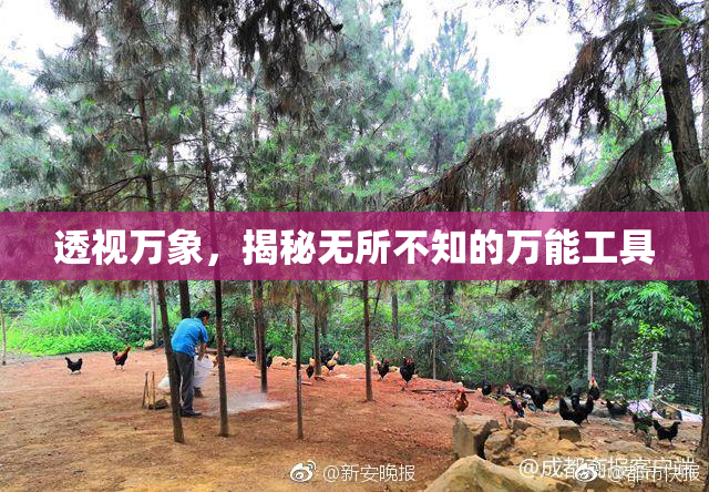 透视万象，揭秘无所不知的万能工具