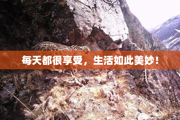 每天都很享受，生活如此美妙！