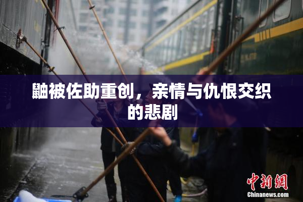 鼬被佐助重创，亲情与仇恨交织的悲剧