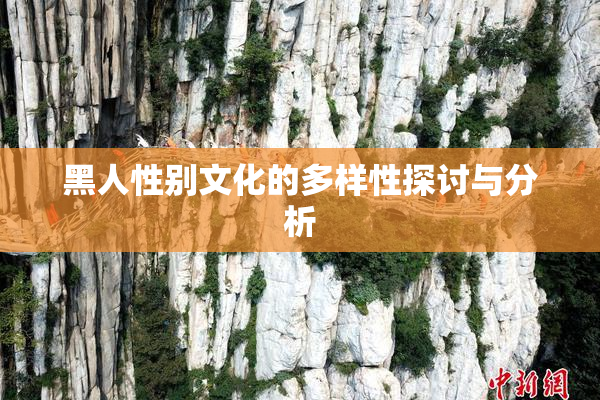 黑人性别文化的多样性探讨与分析