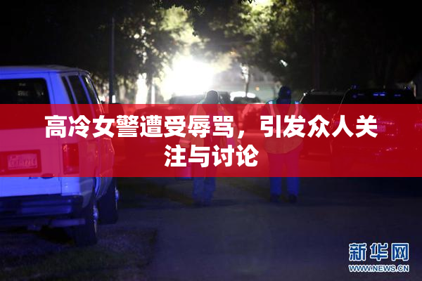 高冷女警遭受辱骂，引发众人关注与讨论