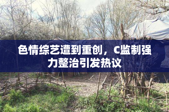 色情综艺遭到重创，C监制强力整治引发热议