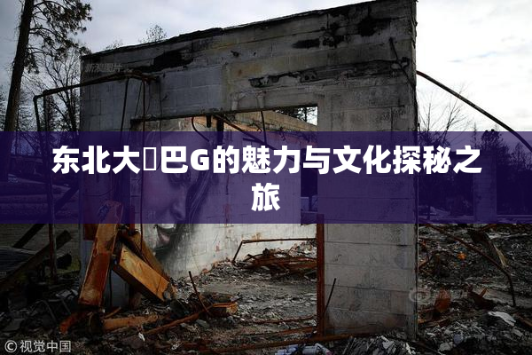 东北大鷄巴G的魅力与文化探秘之旅