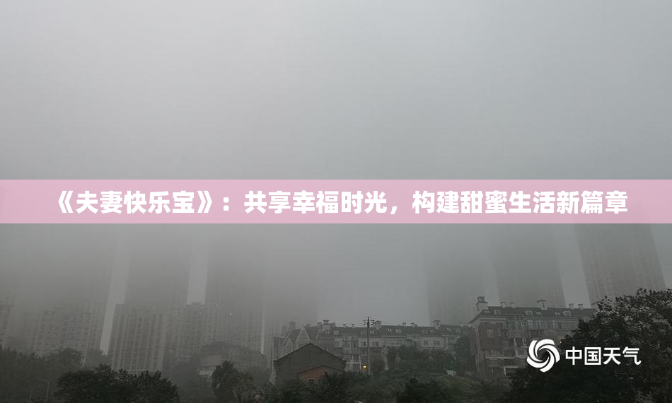 《夫妻快乐宝》：共享幸福时光，构建甜蜜生活新篇章