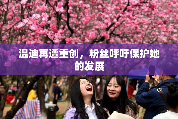 温迪再遭重创，粉丝呼吁保护她的发展