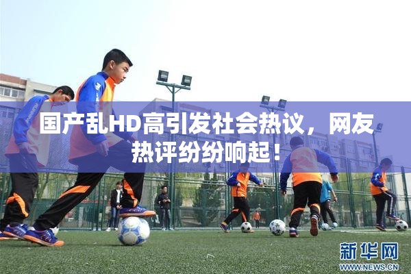 国产乱HD高引发社会热议，网友热评纷纷响起！