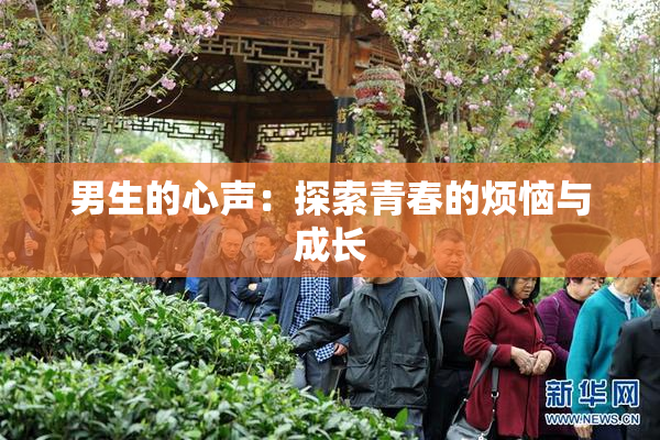男生的心声：探索青春的烦恼与成长