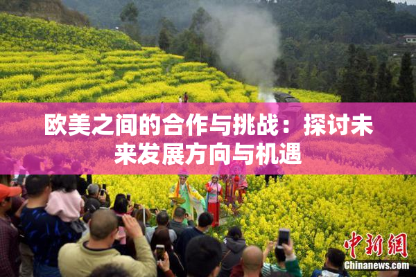 欧美之间的合作与挑战：探讨未来发展方向与机遇