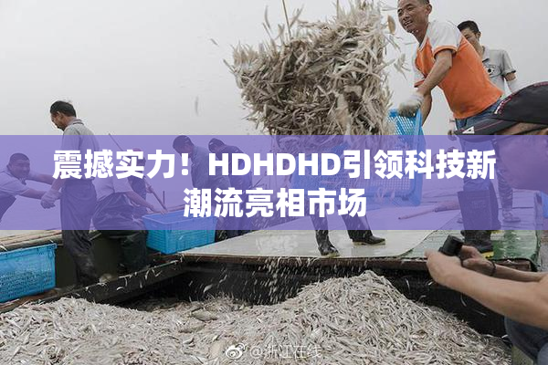 震撼实力！HDHDHD引领科技新潮流亮相市场