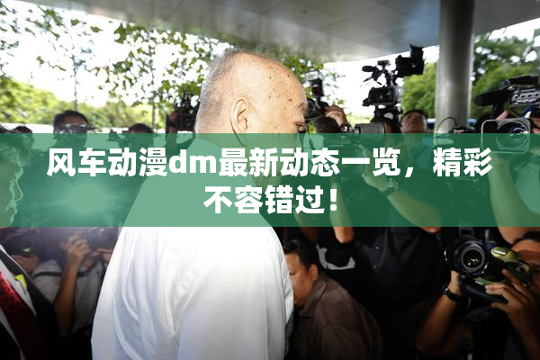 风车动漫dm最新动态一览，精彩不容错过！
