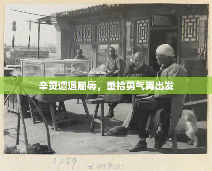 辛灵遭遇屈辱，重拾勇气再出发