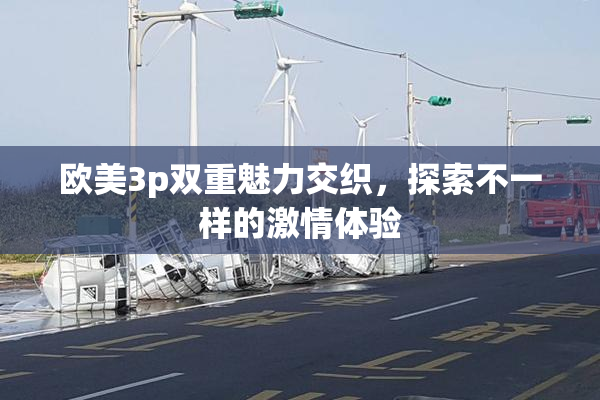 欧美3p双重魅力交织，探索不一样的激情体验