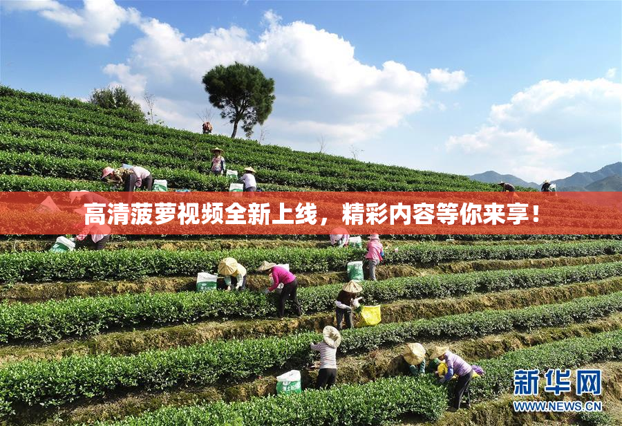 高清菠萝视频全新上线，精彩内容等你来享！