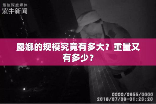 露娜的规模究竟有多大？重量又有多少？