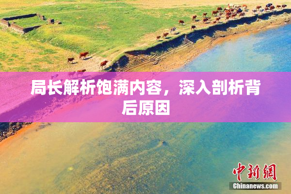 局长解析饱满内容，深入剖析背后原因