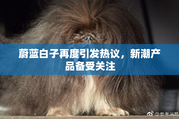蔚蓝白子再度引发热议，新潮产品备受关注