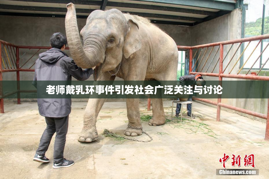 老师戴乳环事件引发社会广泛关注与讨论