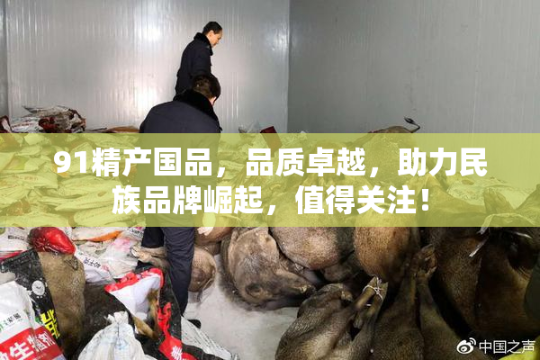 91精产国品，品质卓越，助力民族品牌崛起，值得关注！
