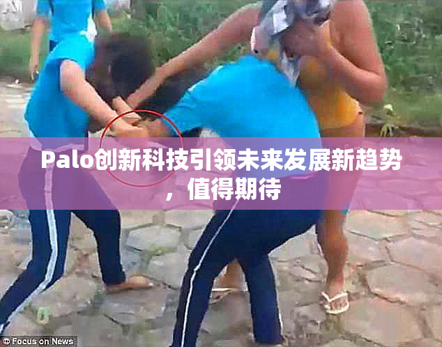 Palo创新科技引领未来发展新趋势，值得期待