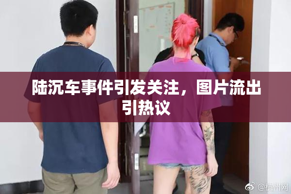 陆沉车事件引发关注，图片流出引热议