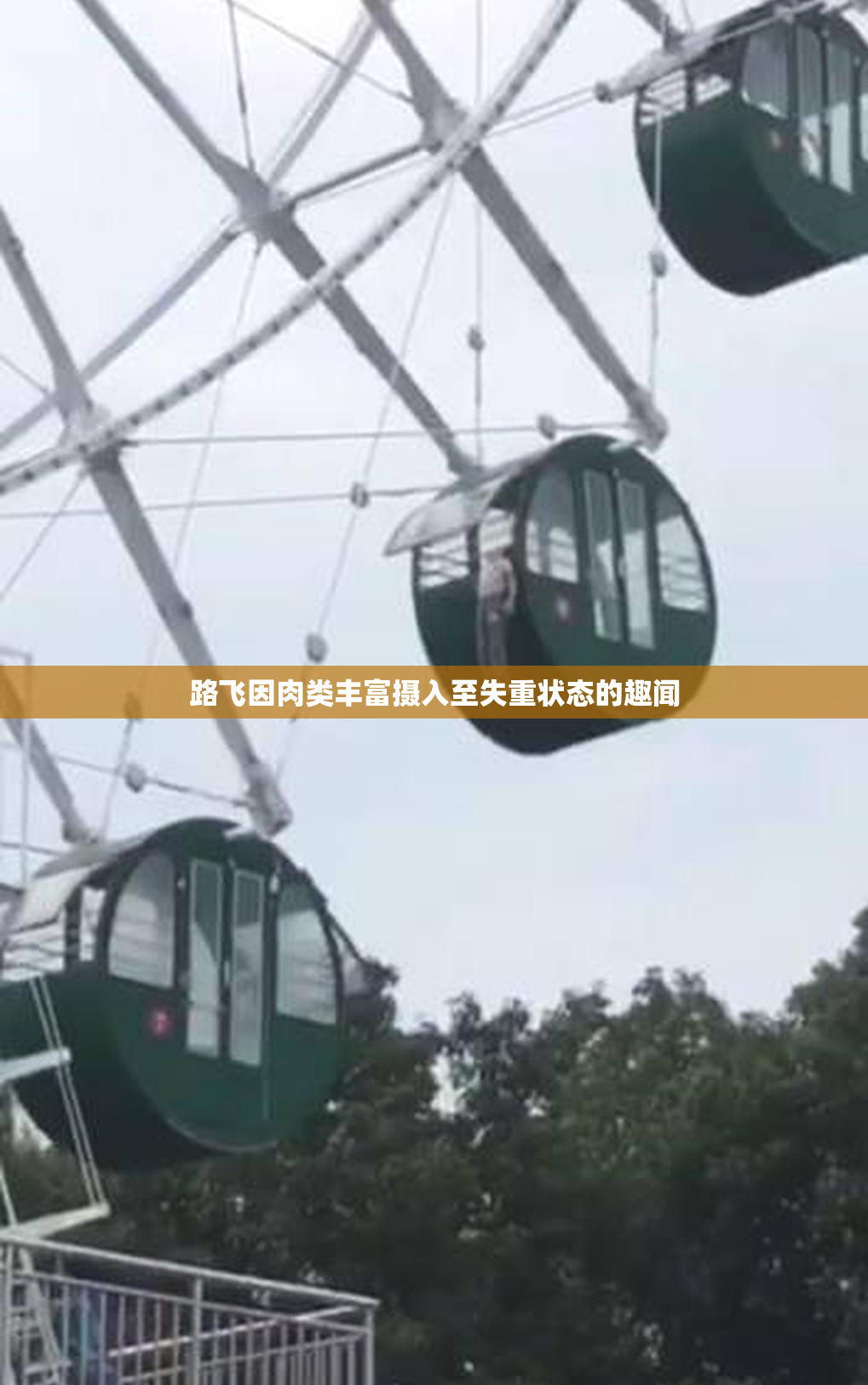 路飞因肉类丰富摄入至失重状态的趣闻