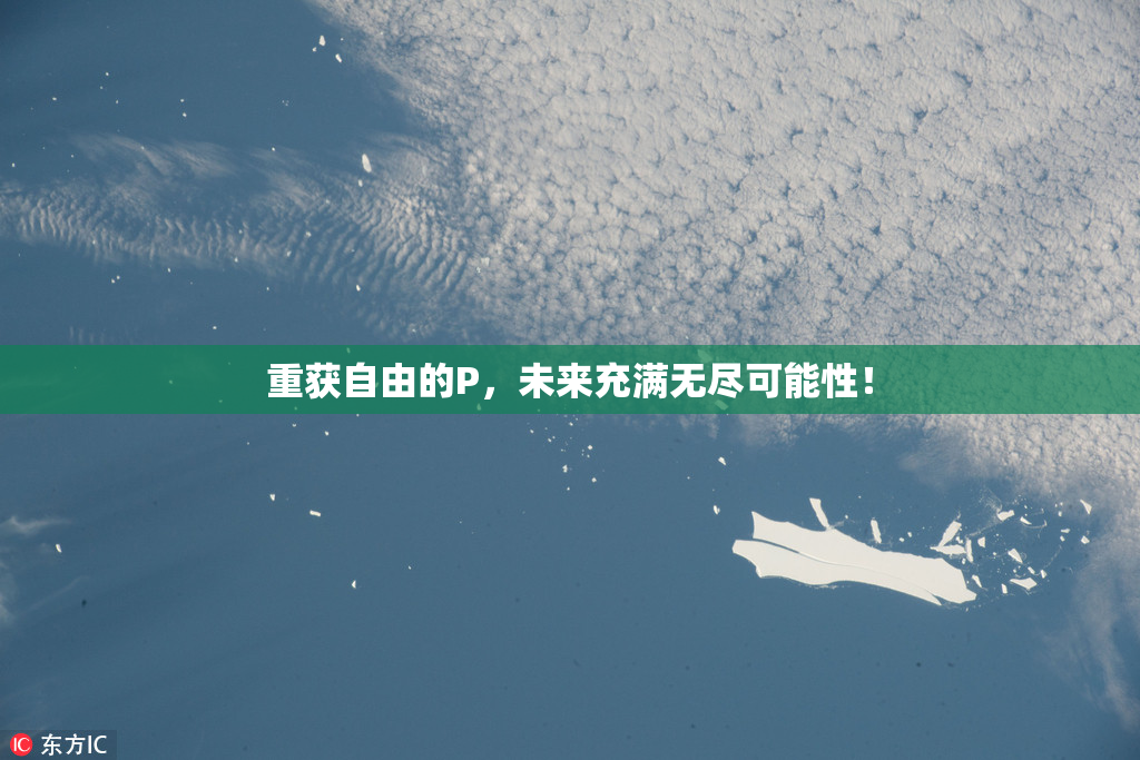 重获自由的P，未来充满无尽可能性！