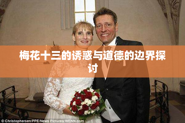 梅花十三的诱惑与道德的边界探讨