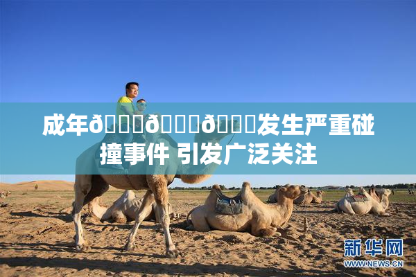 成年🍆🍑🔞发生严重碰撞事件 引发广泛关注