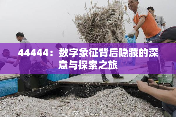44444：数字象征背后隐藏的深意与探索之旅