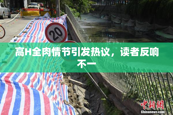 高H全肉情节引发热议，读者反响不一