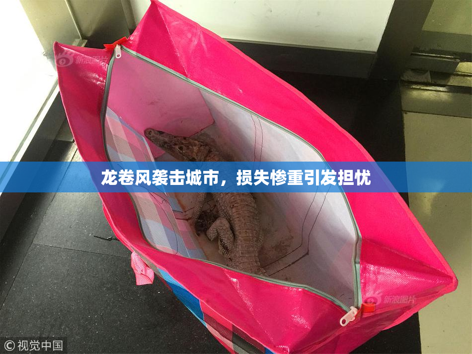 龙卷风袭击城市，损失惨重引发担忧