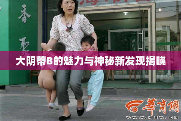 大阴蒂B的魅力与神秘新发现揭晓