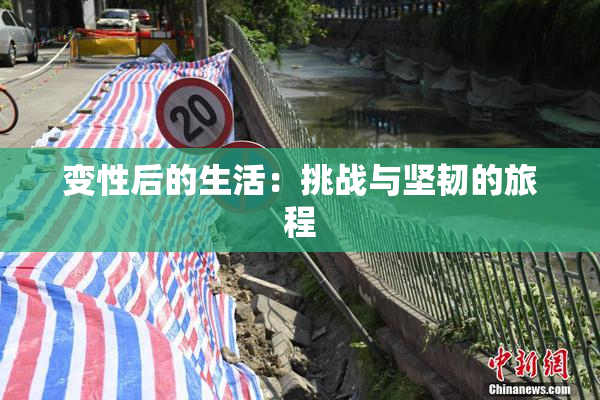 变性后的生活：挑战与坚韧的旅程